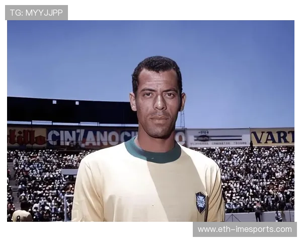 美国足球队球星的辉煌历史与传奇人物回顾 美国足球队球星的辉煌历史与传奇人物回顾